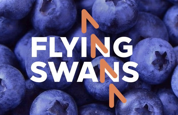 Angola e consórcio neerlandês Flying Swans vão desenvolver cadeia logística de frio