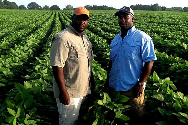 Rússia nomeia conselheiro de Agricultura para Angola